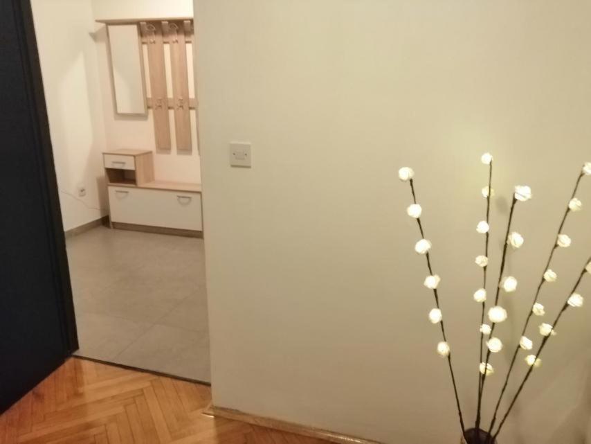 Apartman Sanja Pola Esterno foto